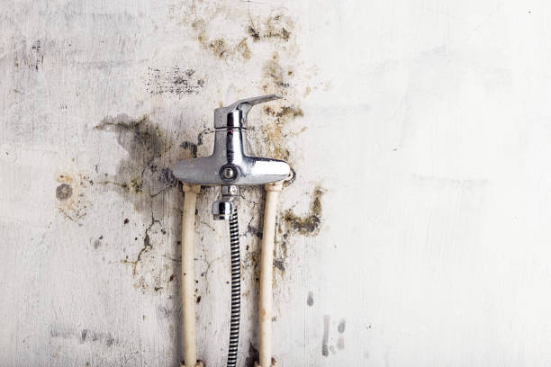 Best Mold Removal Process  in Georgetown, GA