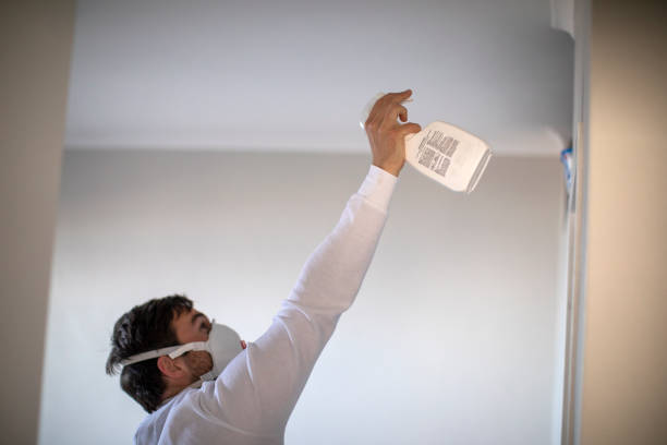 Best Mold Removal Near Me  in Georgetown, GA