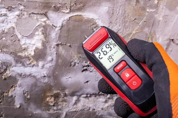 Best Toxic Mold Removal  in Georgetown, GA