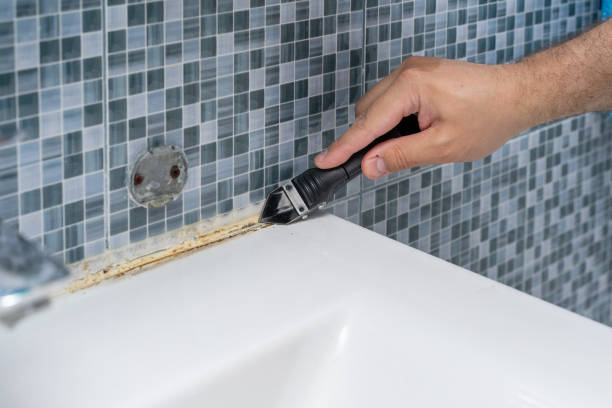 Best Mold Removal Company Near Me  in Georgetown, GA