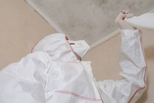 Best Best Mold Removal Companies  in Georgetown, GA