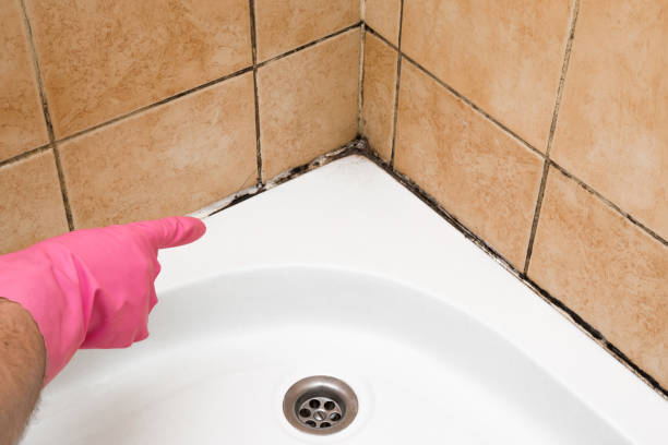Best Certified Mold Removal  in Georgetown, GA